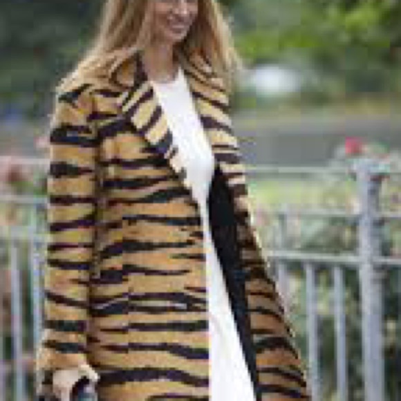 Stradivarius Brown Zebra Print Coat - Picture 3 of 15